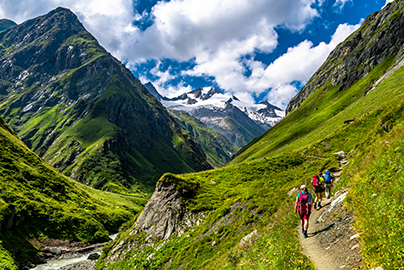 Hikers walking through a sunny mountain scape.