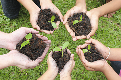 Five children holding dirt and sprouts in their hands, in a circle.