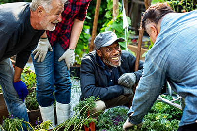 A group of people gardening in a community garden.