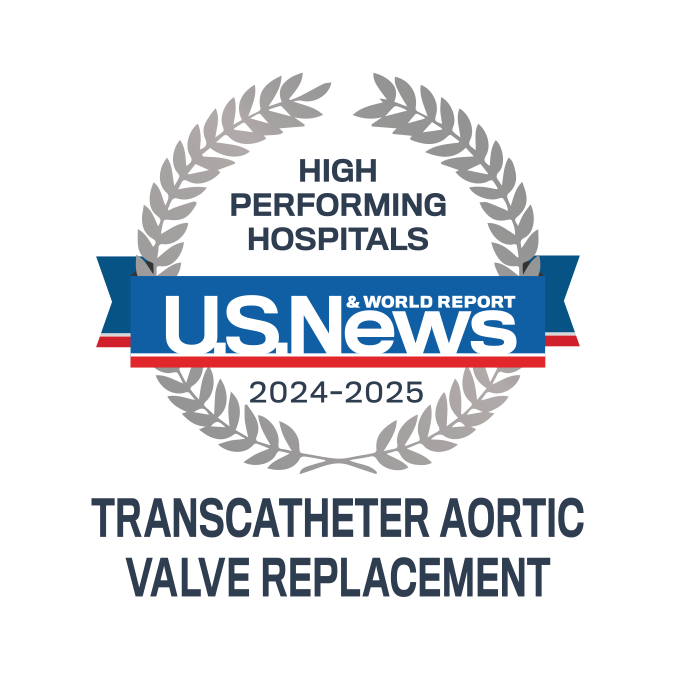 High performing in transcatheter aortic valve replacement (TAVR) badge