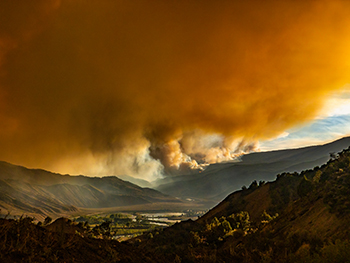 Smoke from wildfires carry microbes that can cause diseases