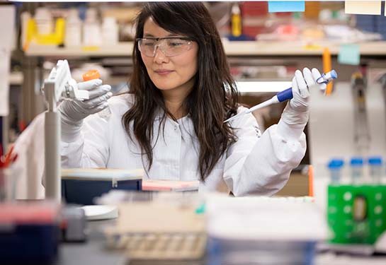 Dr. Liew in her stem cell lab