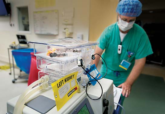 Kidney in box with sign that says left kidney