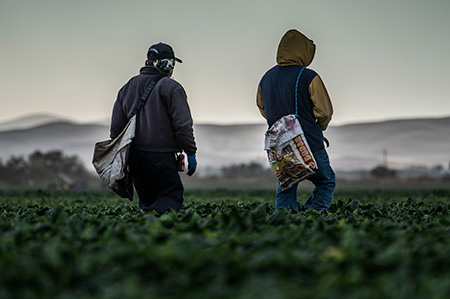 Two people walking through a field