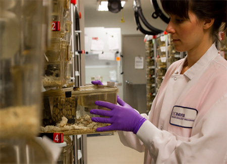 Woman pulling box out in lab