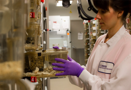 Woman pulling box out in lab