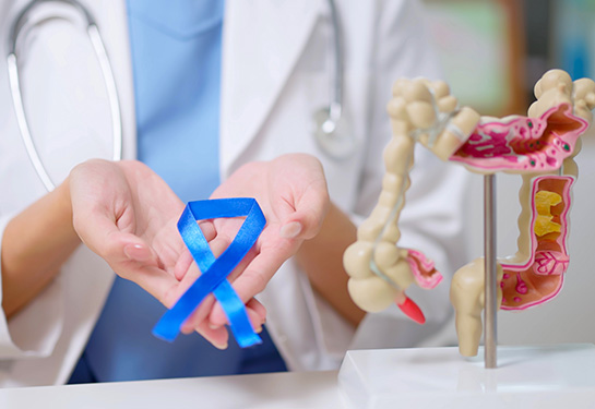 Doctor holds blue ribbon in their hands. Plastic mold of intestines is on a desk next to them. 