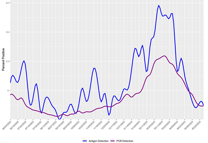 A graph showing a blue line and a red line peaking during the month of March. 