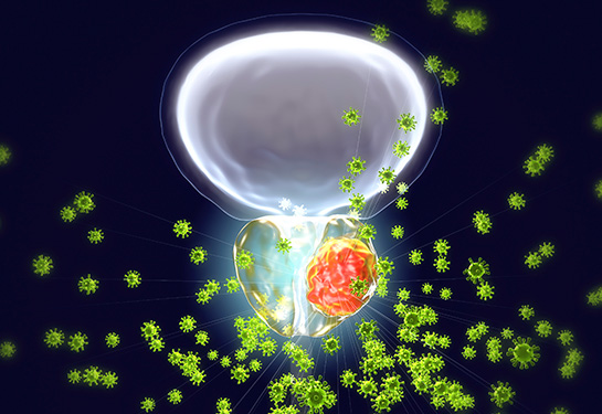 Bone biomarker