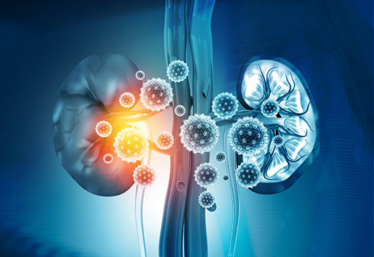 Animated picture with two kidneys and blue virus shaped balls near them