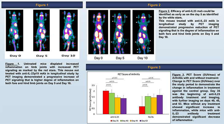 PET scans in rainbow colors of mice with writing