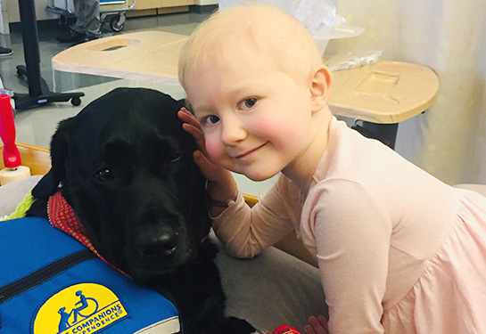 Young hairless female hugging a black lab support dog.