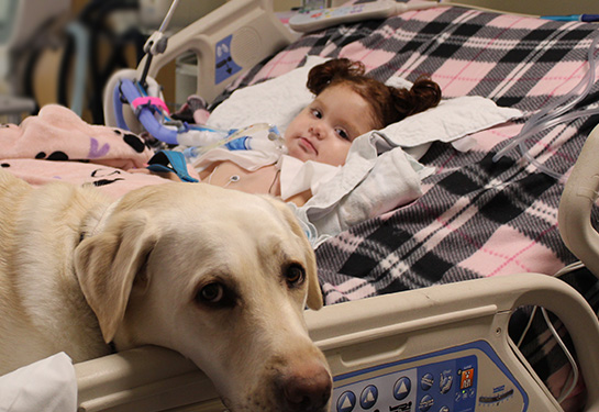 Alaina Daniels laying in a hospital bed with a companion dog