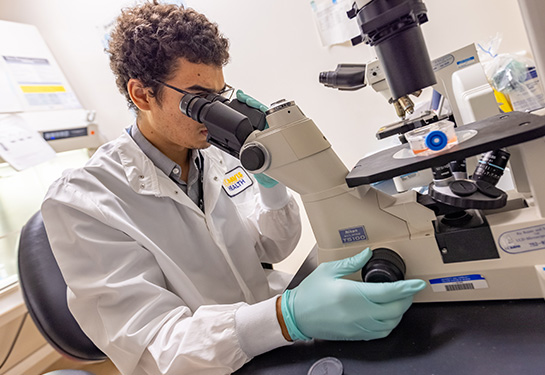 Man working with a microscope