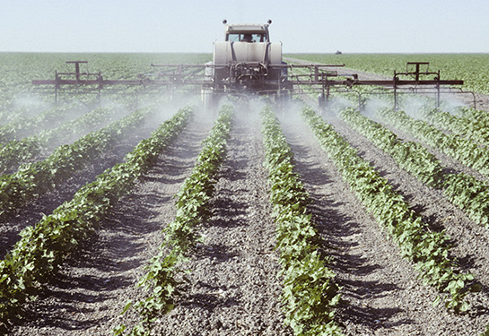 A crop sprayer spraying young cotton plants in a field in the San Joaquin Valley, California.