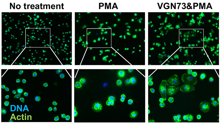 Two rows of three slides each with black background and green and faint blue dots.