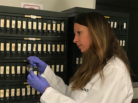 Brittany Dugger, wearing a white gown and purple gloves, is choosing a sample from the UC Davis Alzheimer’s Disease Center’s brain bank 