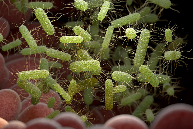 3D illustration of Salmonella bacteria in yellow green color