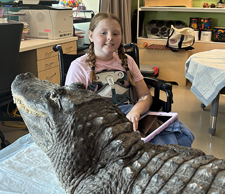 One patient sees an alligator.