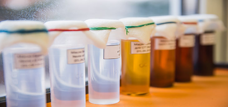 Set of Laboratory Glassware with liquids