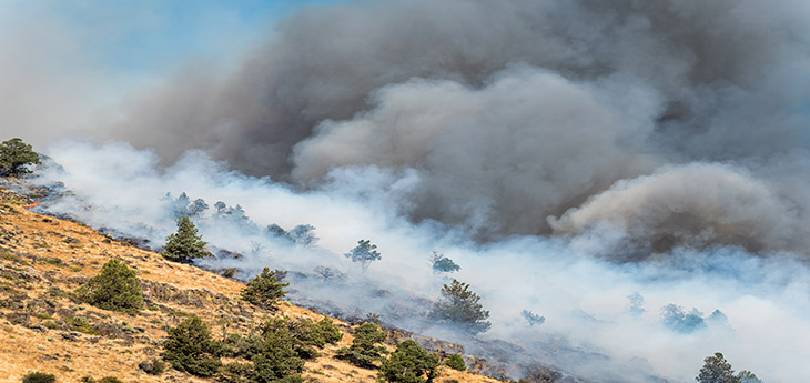 A wildfire burns on the side of a mountain