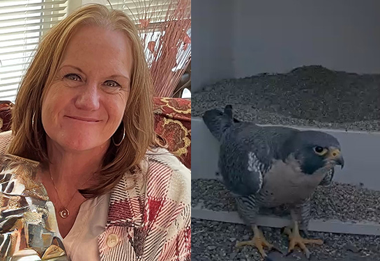 Mary Pagan, a patient, and a peregrine falcon