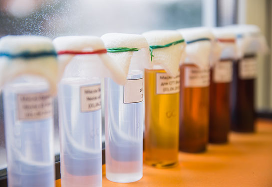 Set of Laboratory Glassware with liquids