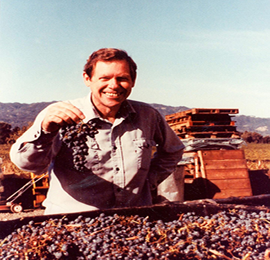 Man with plaid shirt holds handful of grapes above large storage bin