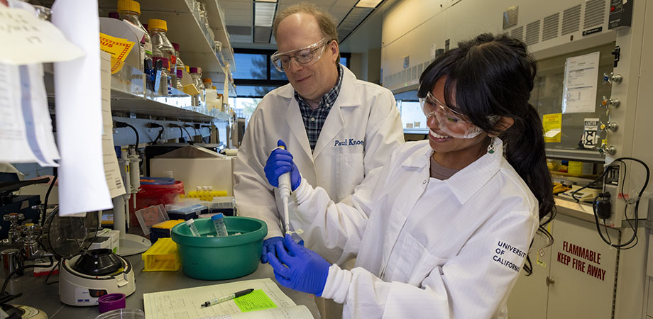 Two scientists in white lab coats work in a lab.