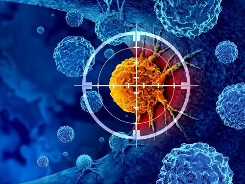 An illustrated rendering of a cancerous cell targeted with immunotherapy
