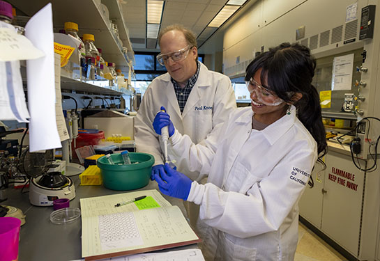 Two researchers in lab coats work in a lab on an experiment.
