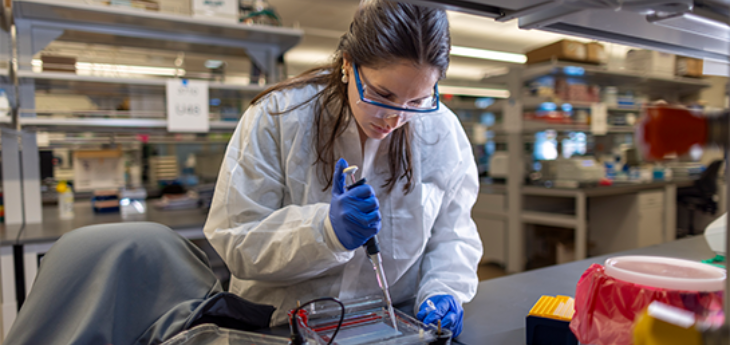 A person in a lab setting is carefully adding liquid to a lab tray using a dropper while wearing safety gear.