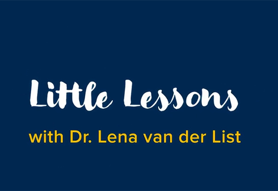 Graphic reads “Little Lessons with Lena van der List”
