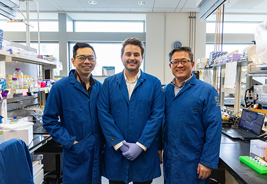 Professor of Biomedical Engineering Cheemeng Tan, left, works with Tanner Henson, center, and Professor of Biomedical Engineering and Surgery Aijun Wa