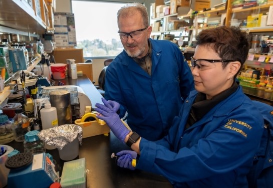 Two researchers in blue lab coats, gloves and protective glasses at a laboratory bench amid shelves of scientific supplies.