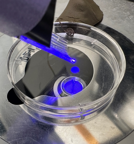 Blue light shines into a clear petri dish containing liquid on a metal lab surface.