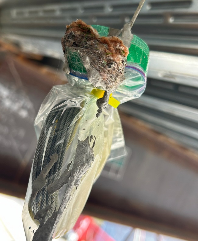 A nest is shown on top of a Ziplock bag hanging by wires under a steel floor.