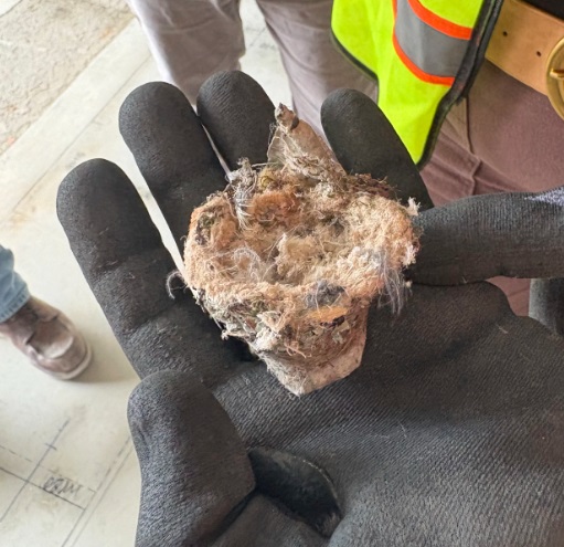 A small brown nest rests in the gloved hand of a construction worker.