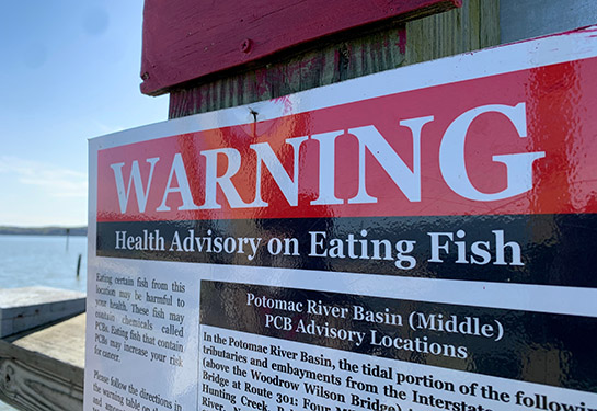 A red, black and white metal sign hangs on a wooden post near a waterway. It says Warning- health advisory on eating fish -PCBs in Potomac River Basin