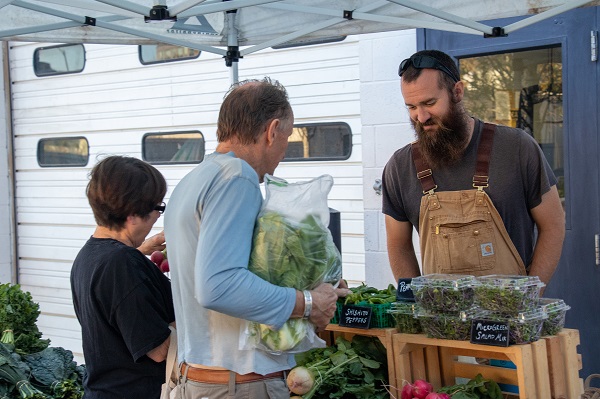 People select leafy greens and root vegetables at a farmers market table under a canopy.