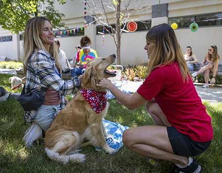 Two women playing with a golden retriever on the grass.