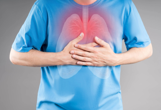 Illustration of inflamed lungs in torso, respiratory infection, pneumonia on gray background; painful area highlighted in red.