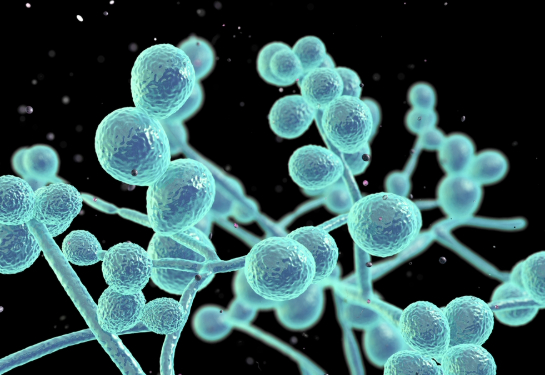 Magnified blue virus strains. 
