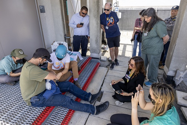 Group of people on a rooftop watching falcon banding activity.