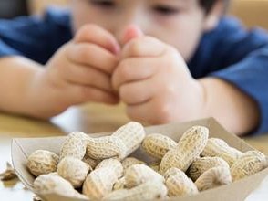 bear logo and kid with peanuts