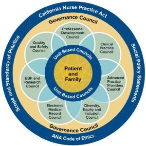 Patient and Family logo