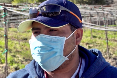 Latino man with baseball cap in a vineyard