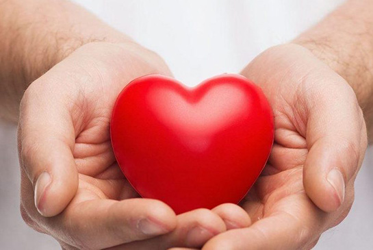 Pair of hands holding a heart shaped toy.