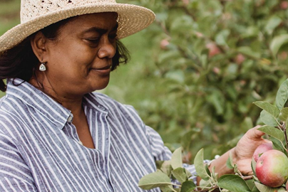 woman picking apples