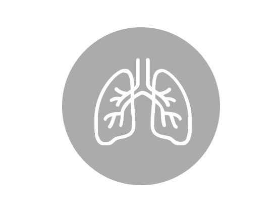 Lungs icon